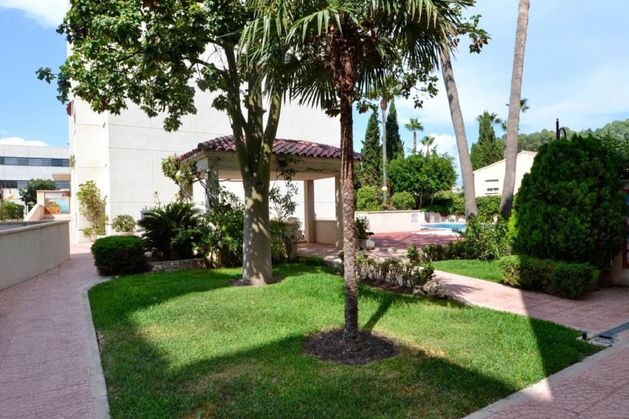 Apartamento Golf Pau Casals 阿尔比尔 外观 照片